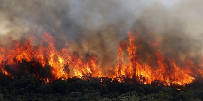 Waldbrand