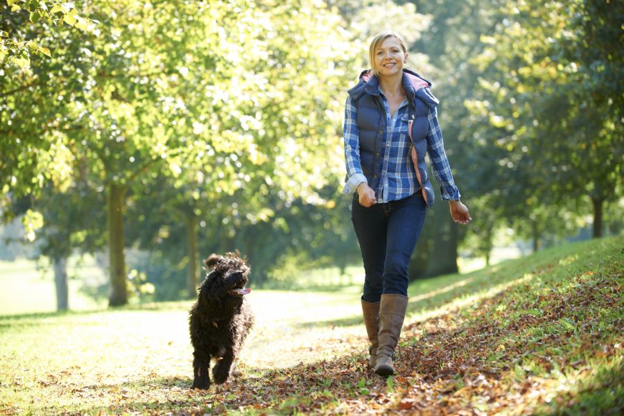 frau mit hund