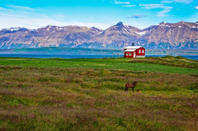 Wieso nicht einfach Ferien in Island machen? Ferien