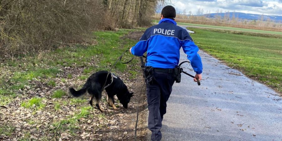 Polizeihunde