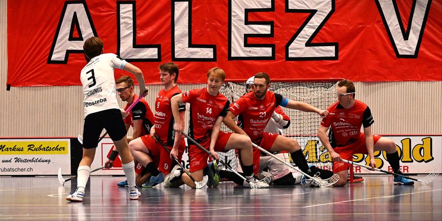 Vipers InnerSchwyz