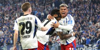 Es ist Tatsache! - HSV steigt nach sieben Jahren in die Bundesliga auf Es ist Tatsache! - HSV steigt nach sieben Jahren in die Bundesliga auf