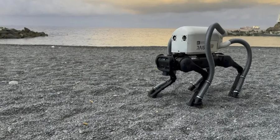 Roboter Vierbeiner Staubsauger Strand