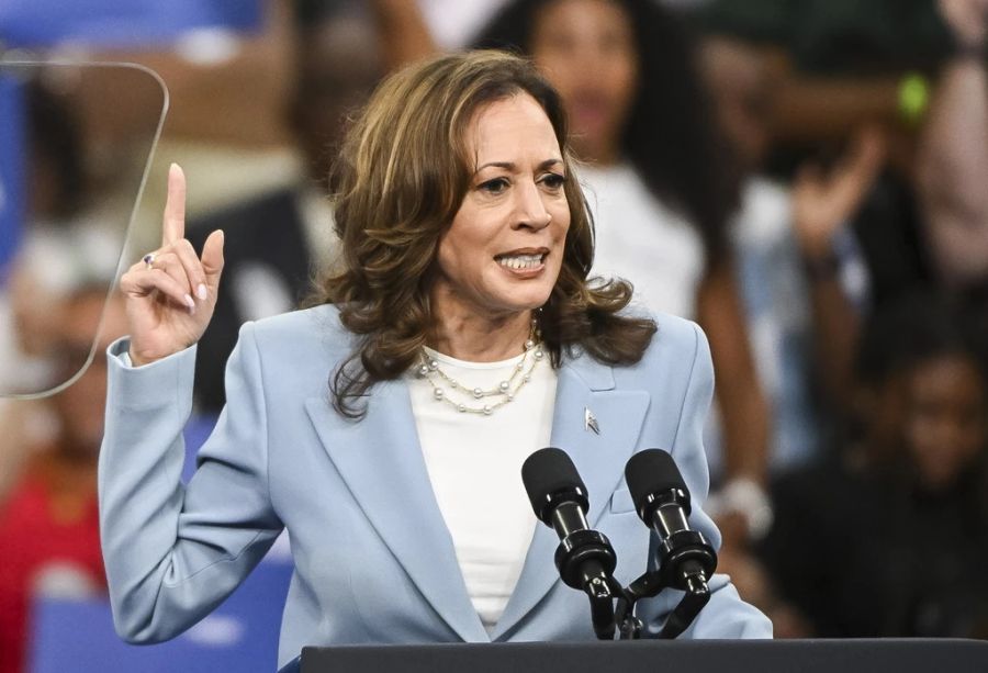 Die selbsternannten «Katzenfrauen» traffen sich auf Zoom, um die US-Präsidentschaftskandidatin Kamala Harris zu unterstützen.