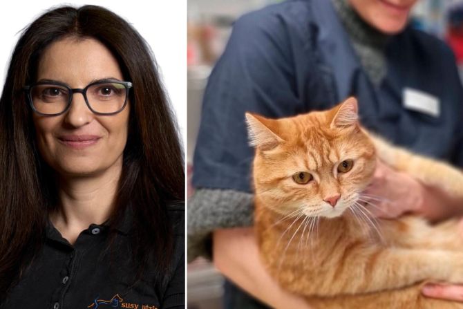 «Wir haben gemerkt, dass ein zentralerer und besser erreichbarer Ort für die Sprechstunden gewünscht wird», Corinne Frana Projektleiterin SUST.