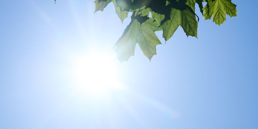 Sonne Sommer Hitze Ozon