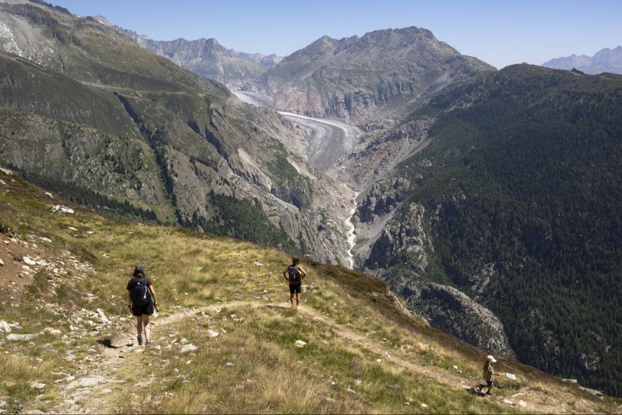Aletschgletscher