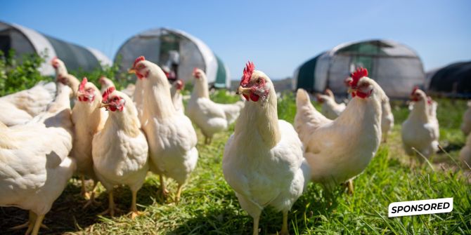 Tierschutz