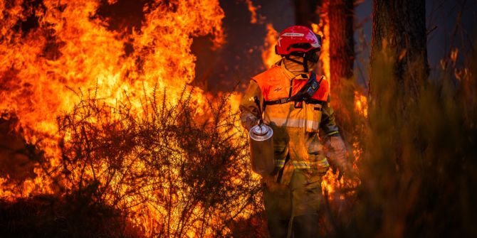 Frankreich Waldbrand