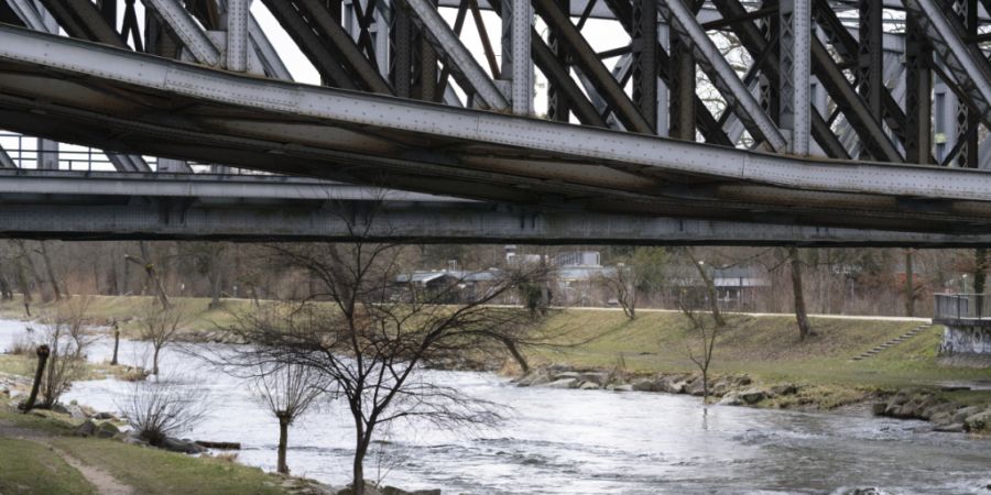 Betroffen von der Massnahme ist gemäss Mitteilung die Wiese von der Mündung bis zur Landesgrenze sowie die Birs zwischen der Birsmündung und der Redingbrücke. (Archivbild)