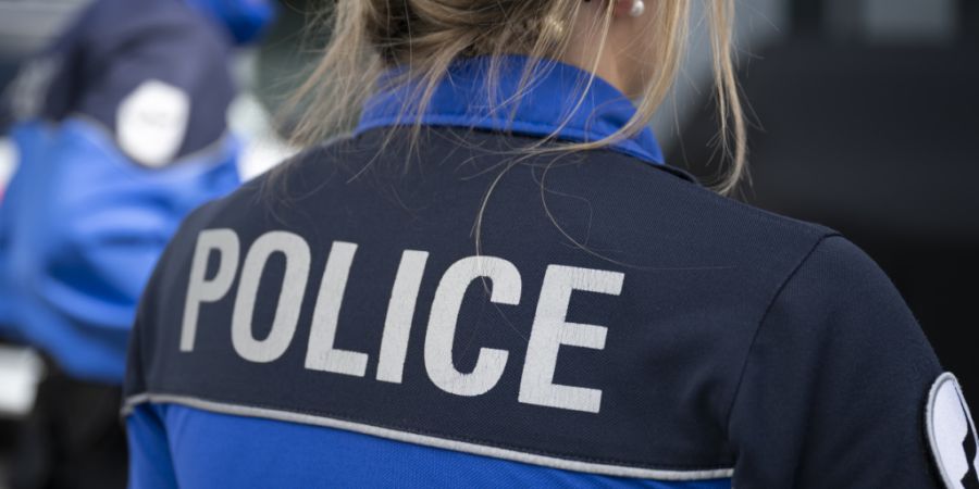 Zwei Einbrecher sind am Samstagabend in Villars-sur-Glâne FR vom betroffenen Hausbesitzer überrascht und in die Flucht geschlagen worden. (Archivbild)
