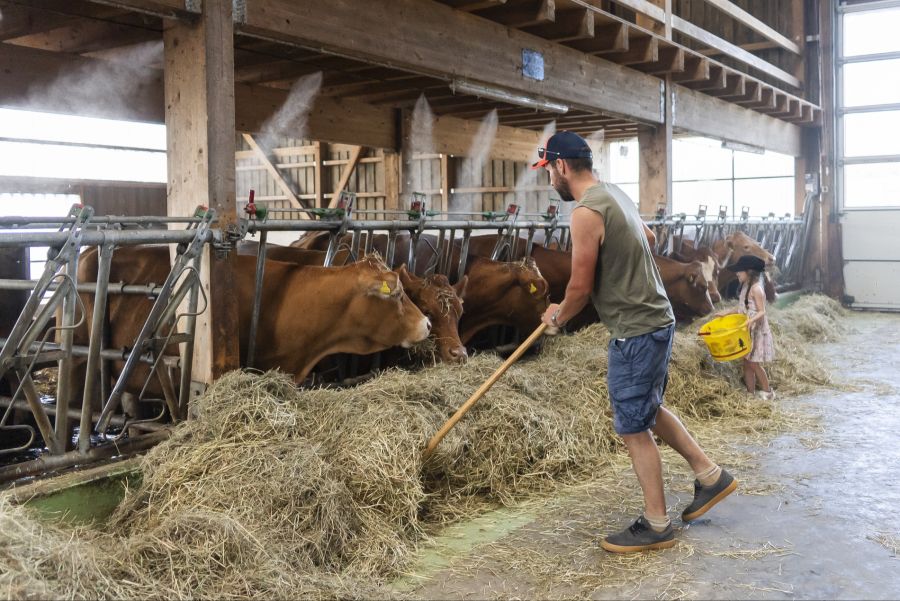 Viele müssen futtertechnisch bereits auf den Wintervorrat zurückgreifen.
