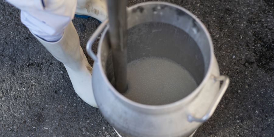 Ausserrhoden testete vor allem Milch, aber auch Tränkewasser auf PFAS-Chemikalien. (Symbolbild)