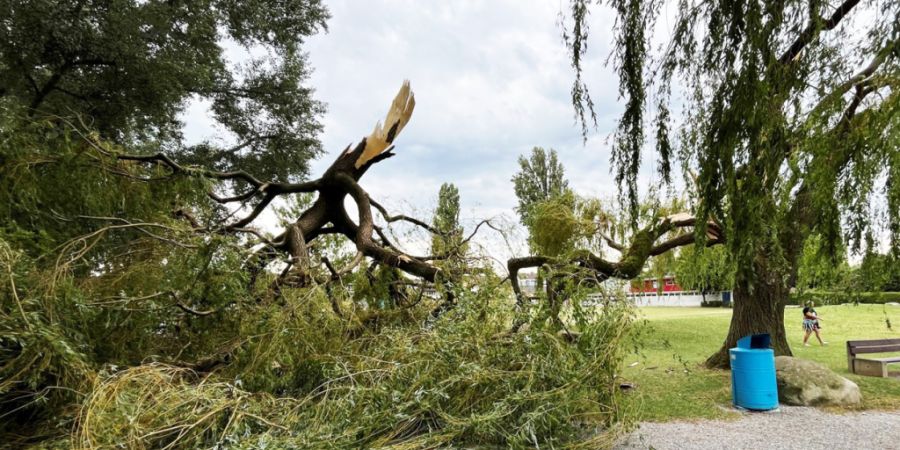 Am Mittwochnachmittag fegte ein Sturm über Romanshorn TG.