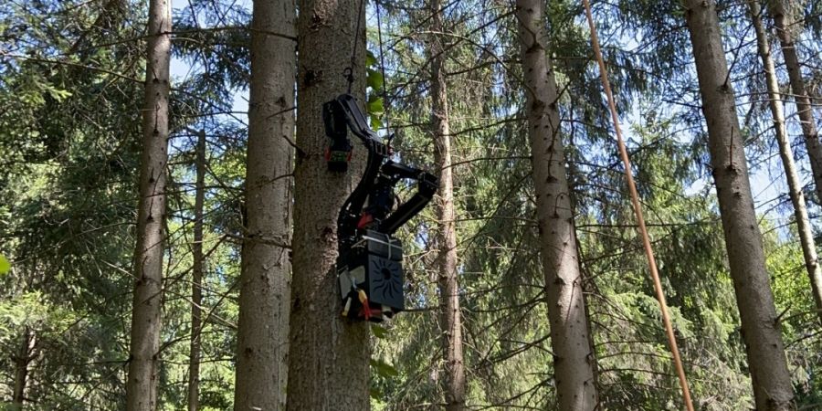Stipendium in Robotik-Studium: «Habe als Kind lieber mit Autos gespielt»