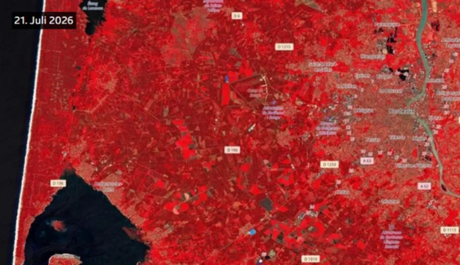So sah es westlich von Bordeaux vor den Waldbränden aus...