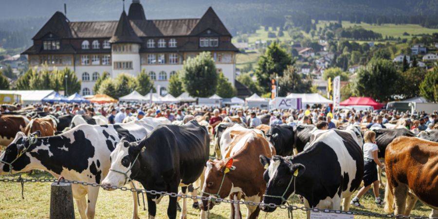 Der Rindermarkt steht wie jedes Jahr auf dem Programm des Schindelmärits. (Archivbild)