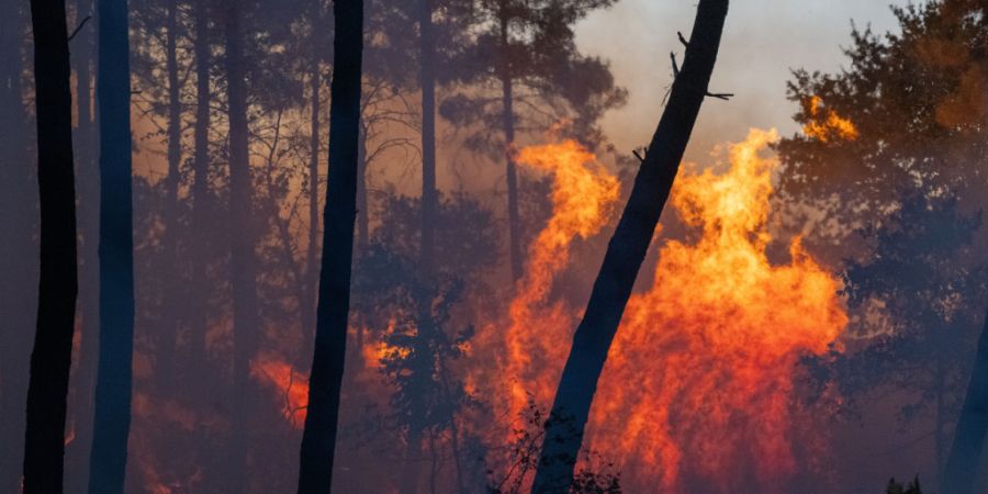 Ein Waldbrand breiten sich in der Nähe der Region Le Proge im Westen Frankreichs aus. Foto: Caroline Blumberg/AP/dpa