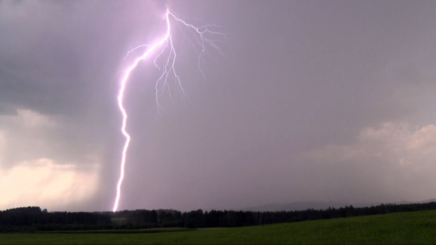 Ein einzelner Blitzeinschlag forderte im Wallis das Leben von 97 Schafen. (Symbolbild)