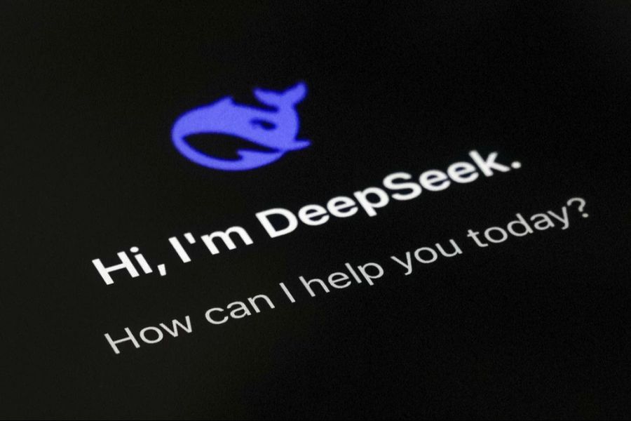 DeepSeek Logo-Debatte