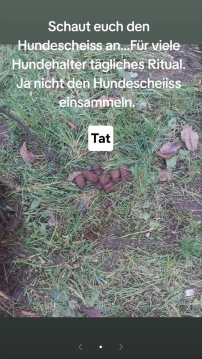 Egerkingen