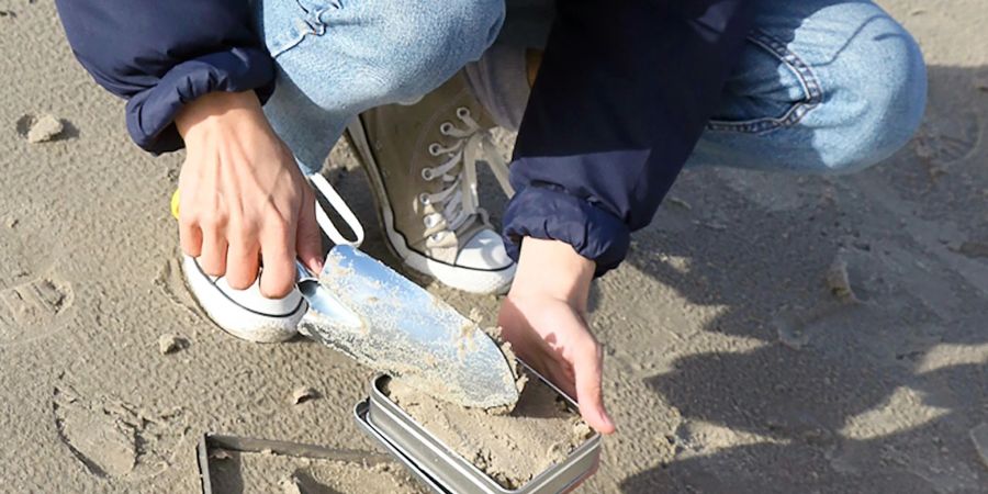 Beim Projekt «Mikroplastikdetektive» haben Bürgerinnen und Bürger Proben von Sandstränden genommen. Forschende des Bremerhavener Alfred-Wegener-Instituts (AWI) untersuchten diese auf Mikroplastik.