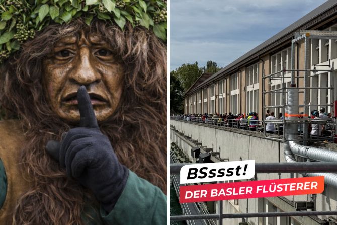 flüsterer basel