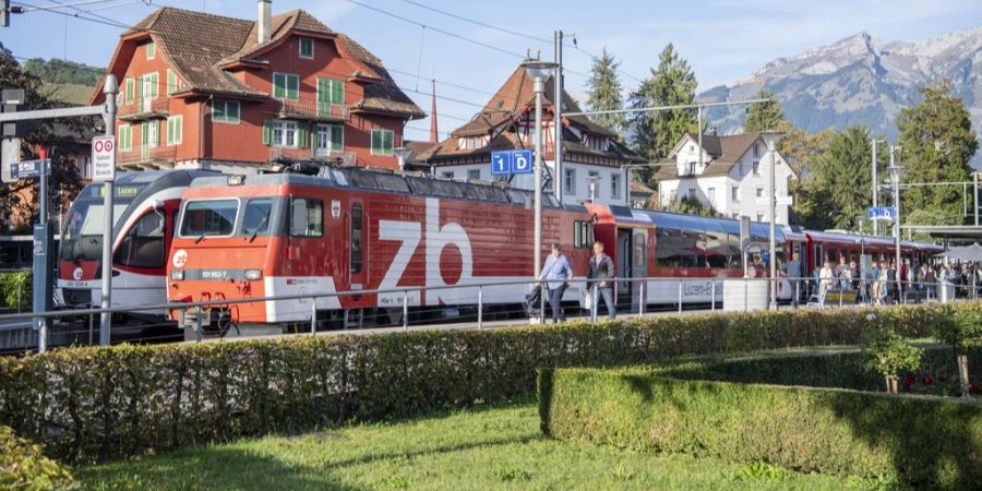 Zug der Zentralbahn