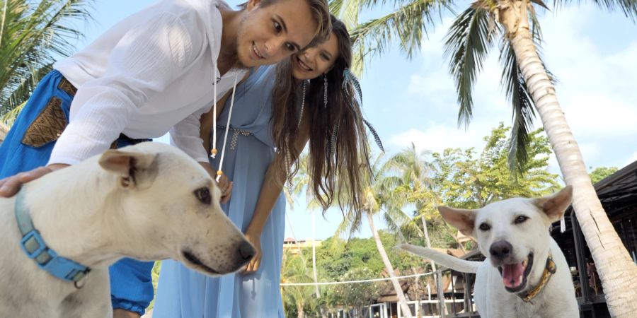 Paar mit Hunden in Thailand