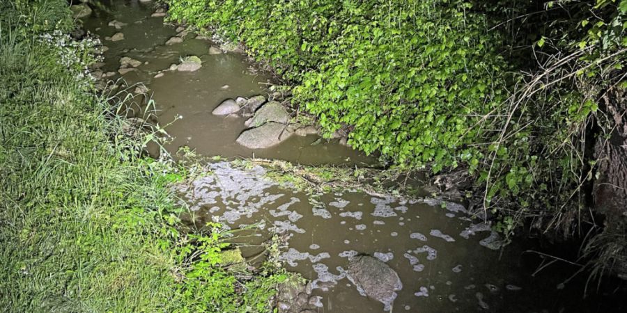 In Müswangen floss im Mai 2025 Gülle aus einer erdverlegten Leitung über eine Wiese in den Mülibach. (Archivbild)