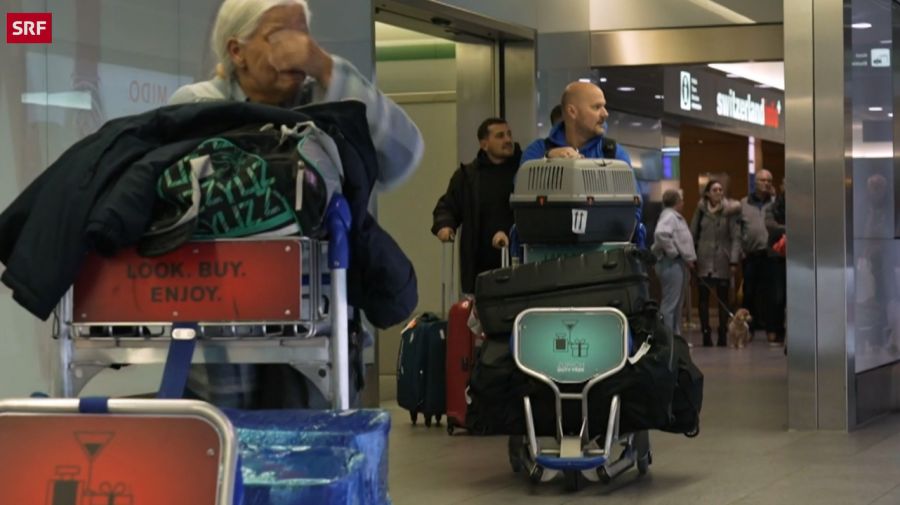 Schlechte Nachrichten für die Familie: Michel Burkhalter darf mit Katze Nala nicht einreisen. Er muss zurück in die Schweiz.