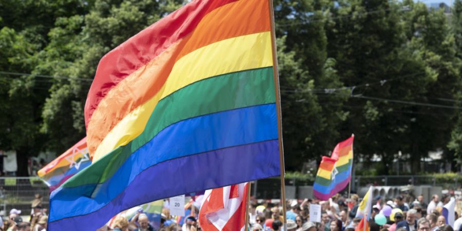 Das zur Zurich Pride gehörende Festival soll künftig Eintritt kosten. (Symbolbild)