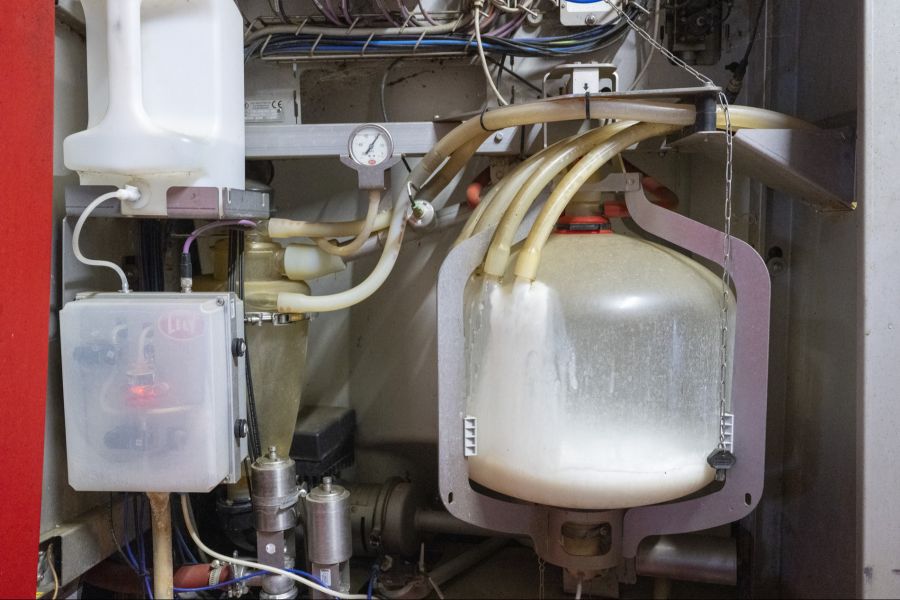 Eine Überproduktion durch gutes Futter verursacht eine Milchkrise.