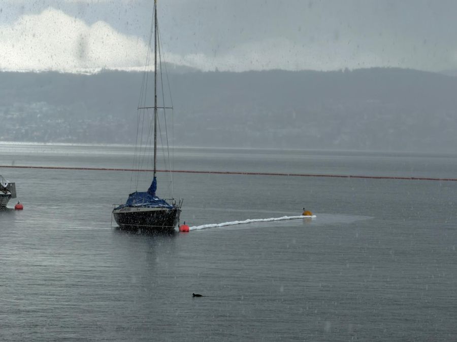In der Nacht auf Donnerstag wurden zahlreiche Boote von ihrem Anlegeplatz gerissen.