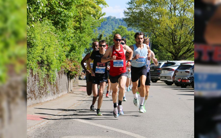 Chäsitzer Louf Stefan Trummer