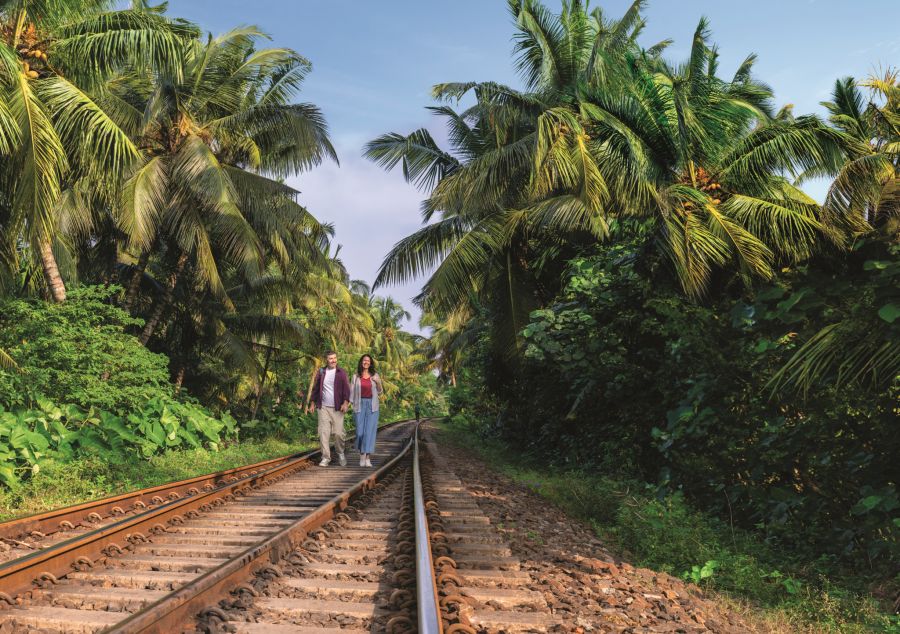 Tropische Küstenstreifen, grünes Hochland mit Teeplantagen und weites Tiefland: Sri Lankas Natur ist phänomenal.