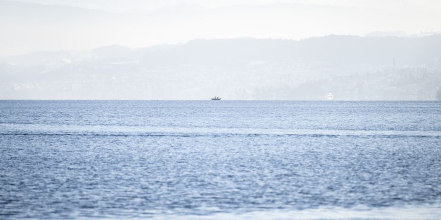 Das Zürcher Hochschulgebiet wird künftig mit Energie aus dem Zürichsee geheizt und gekühlt. (Archivbild)