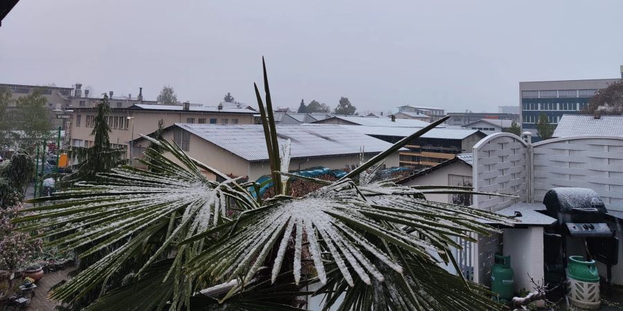 Weitere Eindrücke vom Schweizer Winter-Comeback.