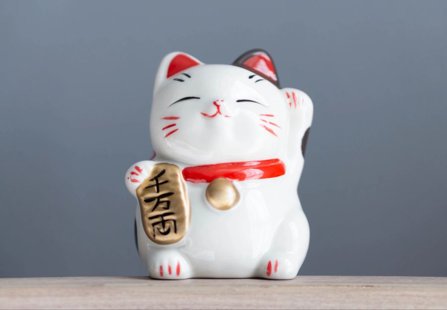 katzen weltweit
