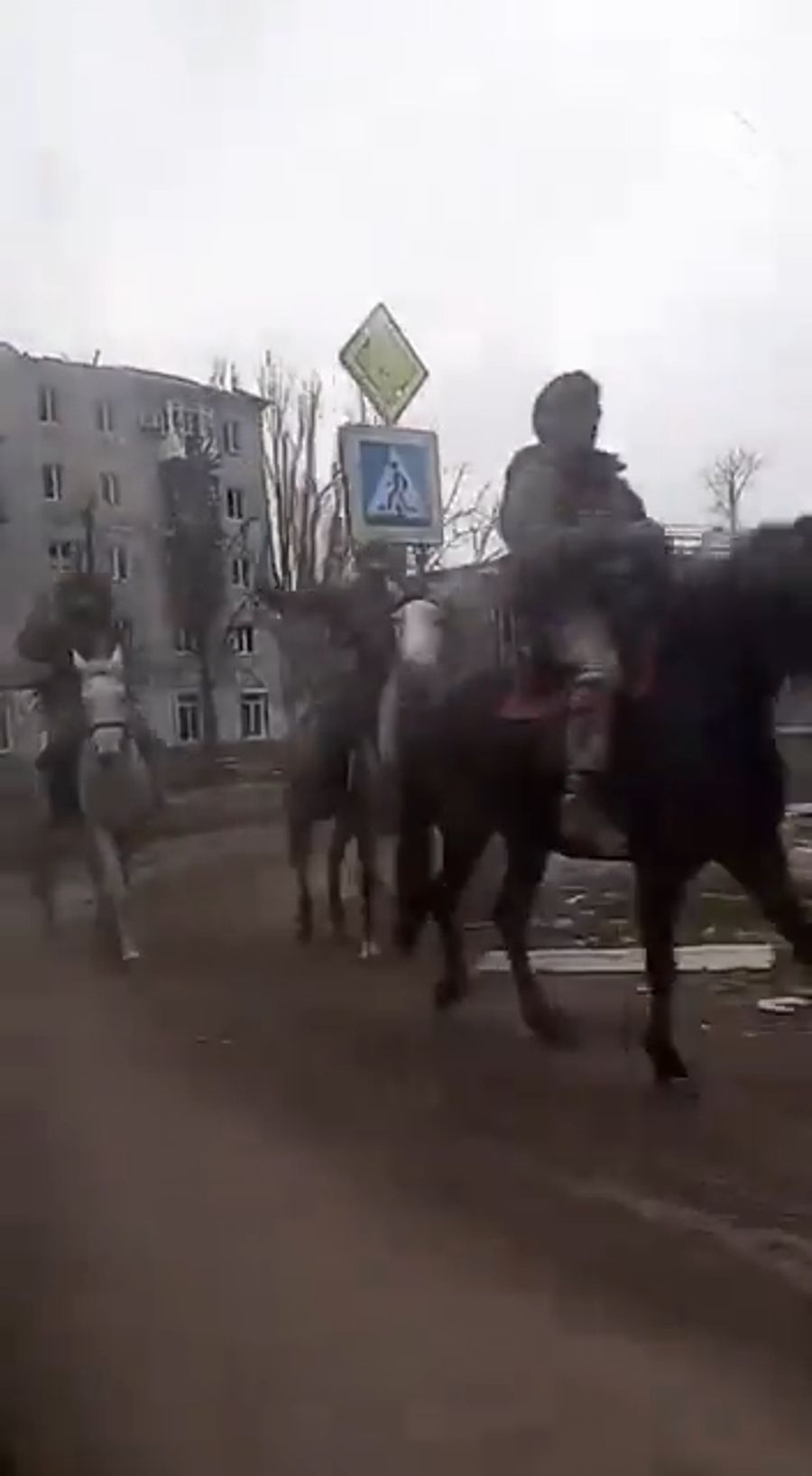 Kriegsblogger feiern das, Pferde seien schnell und wendig und deshalb ideal geeignet.