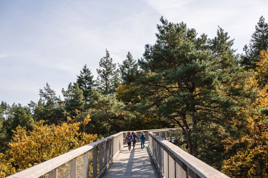 Baumwipfelpfad Heringsdorf Usedom