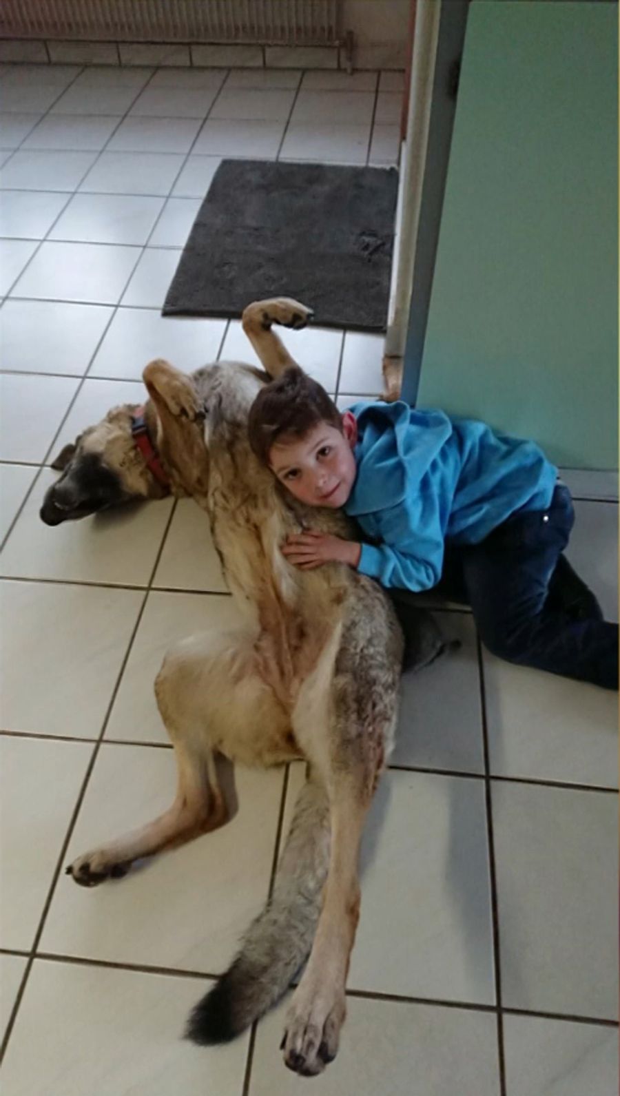 Luca wuchs mit seiner inzwischen verstorbenen Schäferhündin Cruz auf und vermisst sie sehr.