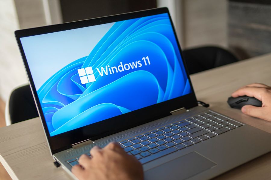 windows 11 update probleme