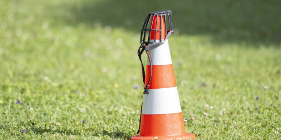Der Aargauer Veterinärdienst hat nach einem Zwischenfall für zwei Hunde vorsorglich eine Leinen- und Maulkorbpflicht erlassen. Ein dritter Hund wurde eingeschläfert. (Symbolbild)