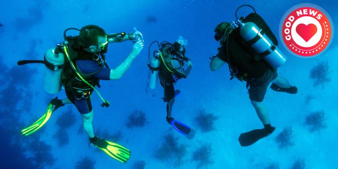 Tauchlehrer rettet Gruppe Schnellboot