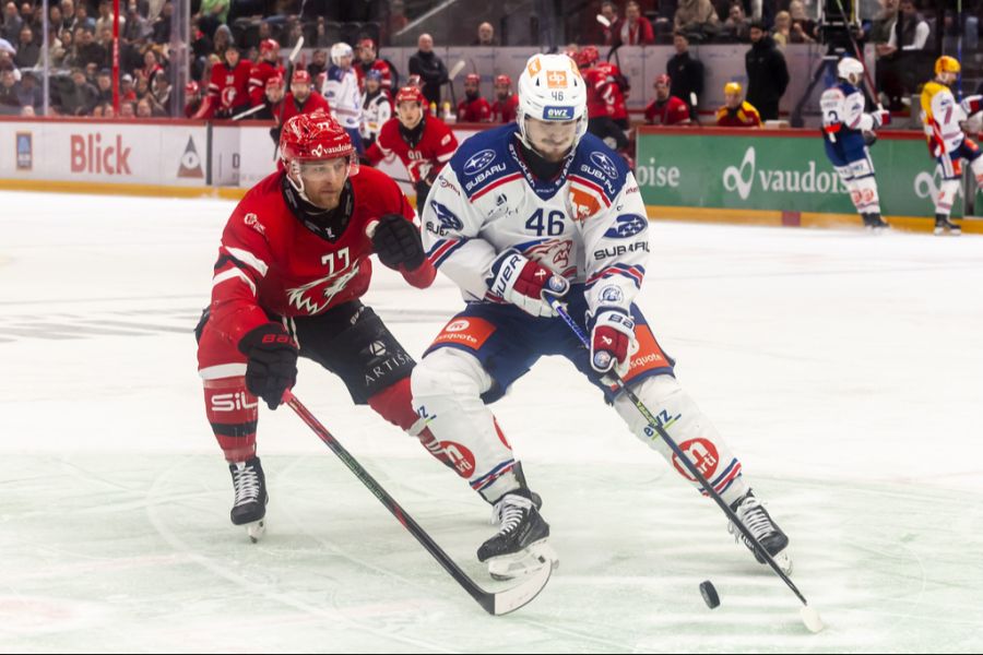 ZSC LIons