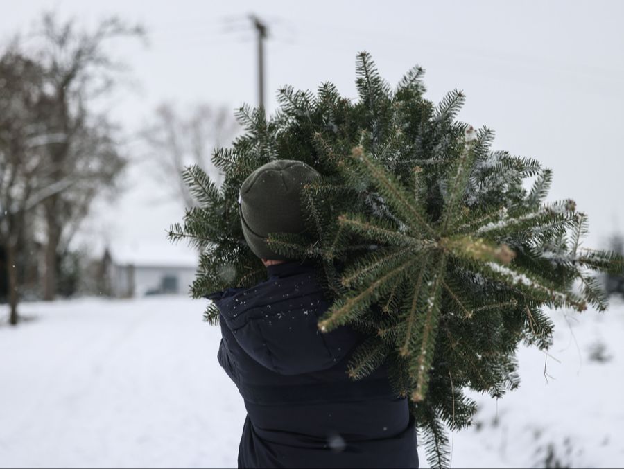 Insgesamt dürfte der Kauf eines Weihnachtsbaums künftig teurer werden. (Symbolbild)