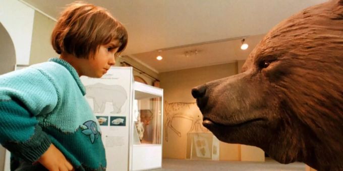 Ein Eisbär in einer Sonderausstellung des Luzerner Gletschergarten. höhlenbär