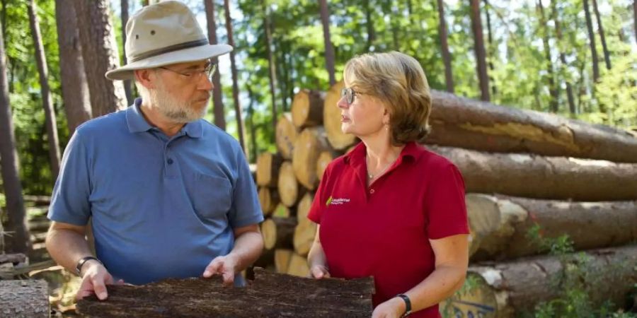 Harald Lesch und Ute Fenkner-Gies vom Forstamt Kaiserslautern begutachten Borkenkäfer-Schäden. Foto: Zeljko Pehar/ZDF