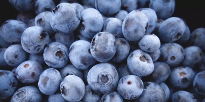 Albert Heijn ruft TK-Blaubeeren zurück. Blaubeeren